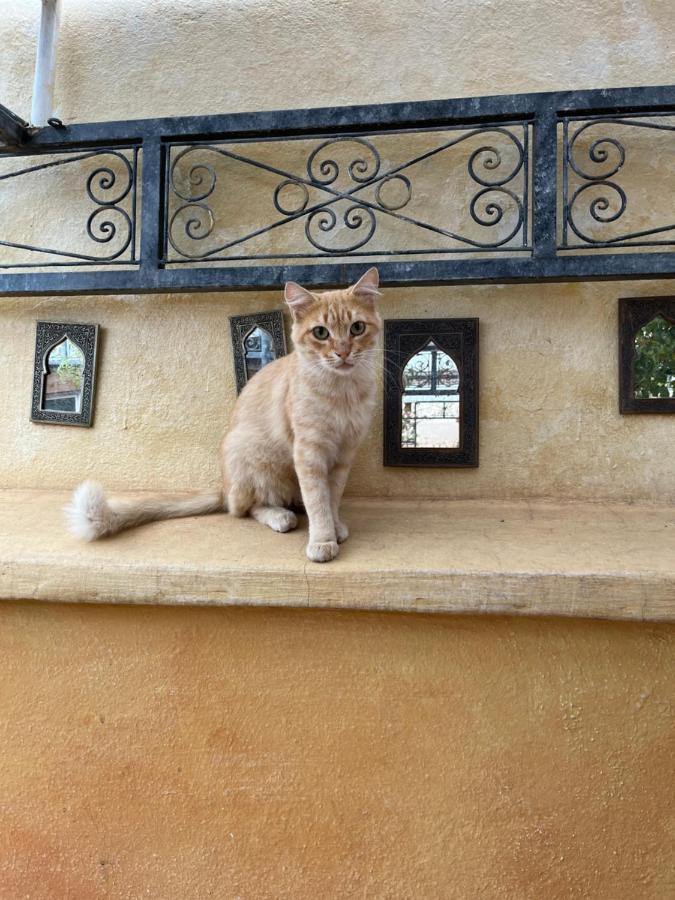 Riad Al Ibtikar マラケシュ エクステリア 写真
