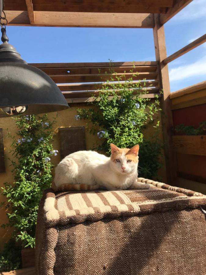 Riad Al Ibtikar マラケシュ エクステリア 写真
